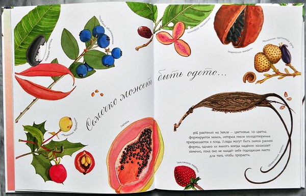 Biter, kyllinger, sommerfugler. Vi studerer natur sammen med barn