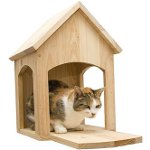Hvordan lage et hus for en katt