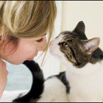 Tumor i en katt