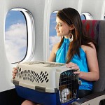Transport av dyr i flyet Transport av dyr i flyet
