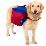 Ryggsekk til en hund Ryggsekk til en hund