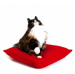 De mest katter
