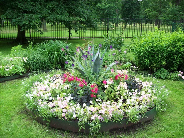 Vakre blomster for en blomsterbed