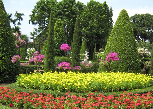 Vakre blomster for en blomsterbed
