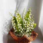 Blomster fra kaldt porselen Blomster fra kaldt porselen
