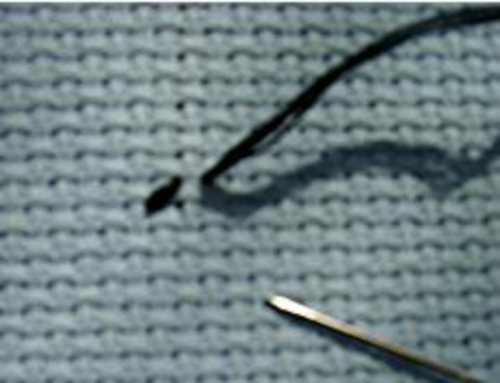 Tapestry stitch: master klasse av broderi