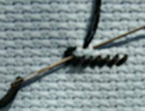 Tapestry stitch: master klasse av broderi