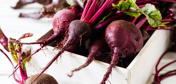 Beet lagring for vinteren