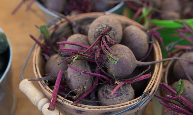 Beet lagring for vinteren