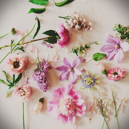 Hvordan tørke blomster til en herbarium