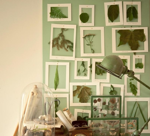 Hvordan lage og arrangere en herbarium av blader