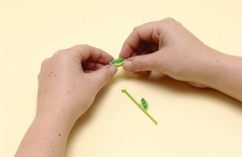 Quilling blomster fra papir til nybegynnere
