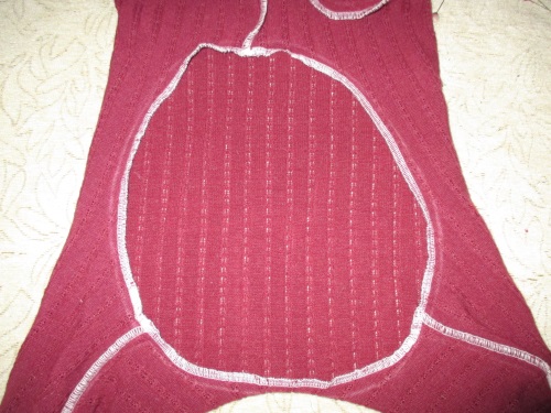 Varm fleece samlet for en hund