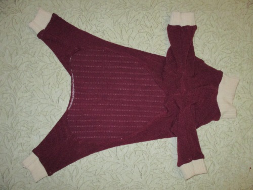 Varm fleece samlet for en hund