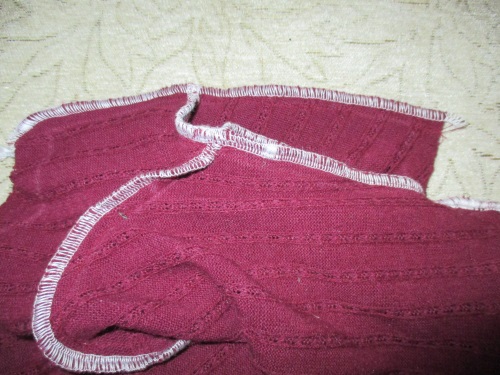 Varm fleece samlet for en hund