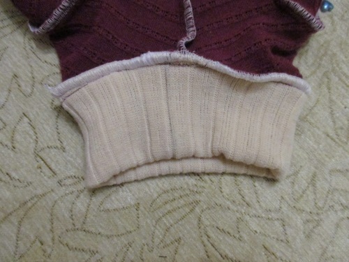 Varm fleece samlet for en hund