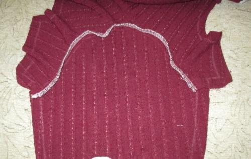 Varm fleece samlet for en hund