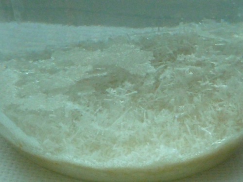 Salt krystall hjemme