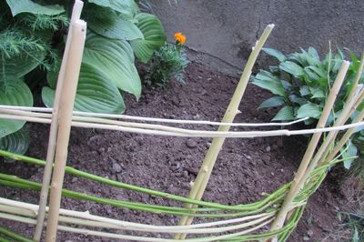 Blomsterseng fra vintreet med egne hender