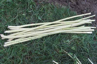 Blomsterseng fra vintreet med egne hender