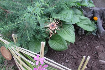 Blomsterseng fra vintreet med egne hender