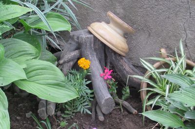Blomsterseng fra vintreet med egne hender