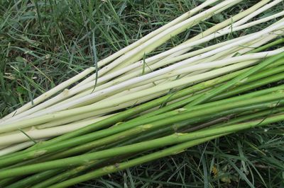 Blomsterseng fra vintreet med egne hender