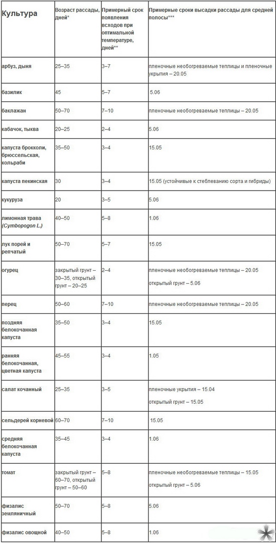 Når plantes frøplanter i det åpne bakken?