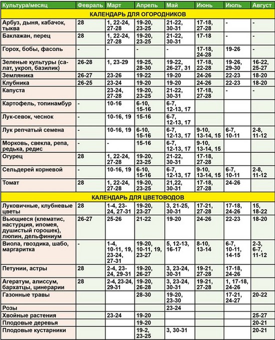 Lunar kalender av hagebruk gartner i august 2015