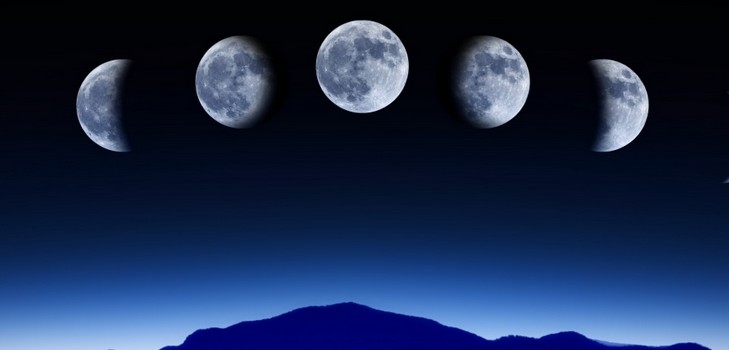 Lunar kalender av hagebruk gartner i august 2015