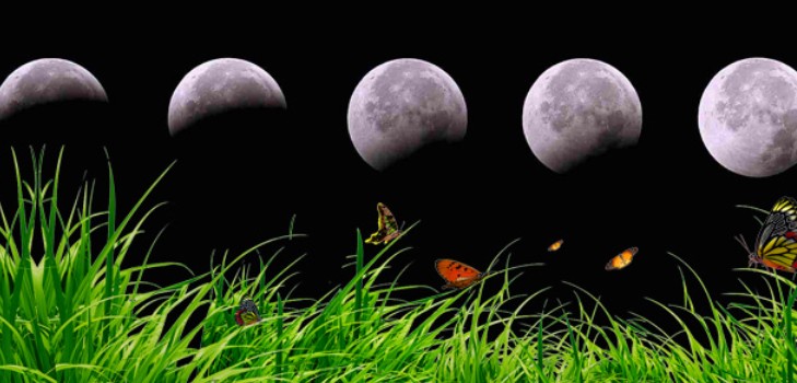 Lunar kalender lastebil landbruk for august 2016 for Moskva-regionen, Midt-sone av Russland, Urals, Sibir, Nordvest, Hviterussland og Ukraina