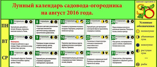 Lunar kalender lastebil landbruk for august 2016 for Moskva-regionen, Midt-sone av Russland, Urals, Sibir, Nordvest, Hviterussland og Ukraina Lunar kalender lastebil landbruk for august 2016 for Moskva-regionen, Midt-sone av Russland, Urals, Sibir, Nordvest, Hviterussland og Ukraina