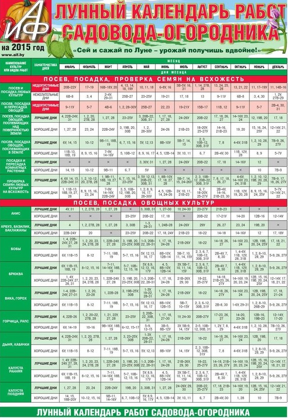 Gartnerens kalender for juli 2015