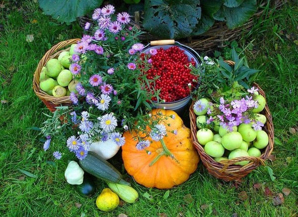 Månedskalender for lastebilbonden for september 2016 for Moskva-regionen, Nordvest, Ural, Sibir, Ukraina, Hviterussland