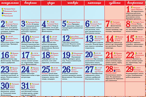Lunar såkalender for januar 2017 i bordet for gartnere og lastebilbønder. Gunstige plantedager for tomater (tomater) for lunarplanter-2017