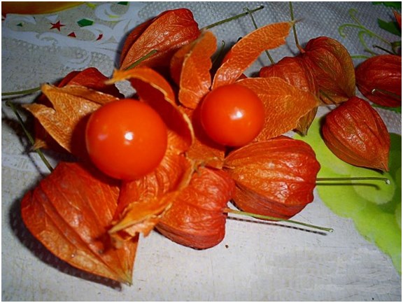 bær av physalis