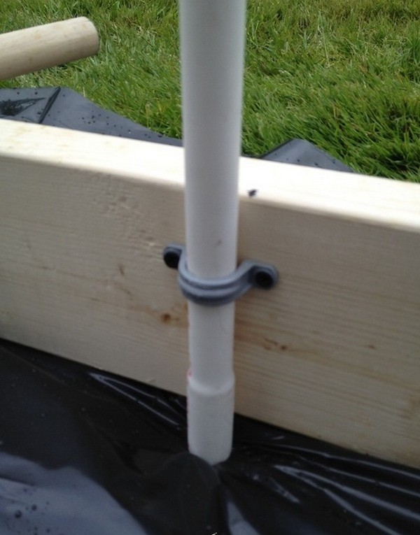 Varme kilder for planting: Steg-for-trinns guide, bilder, videoer