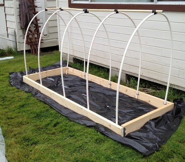 Varme kilder for planting: Steg-for-trinns guide, bilder, videoer
