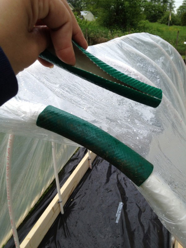 Varme kilder for planting: Steg-for-trinns guide, bilder, videoer