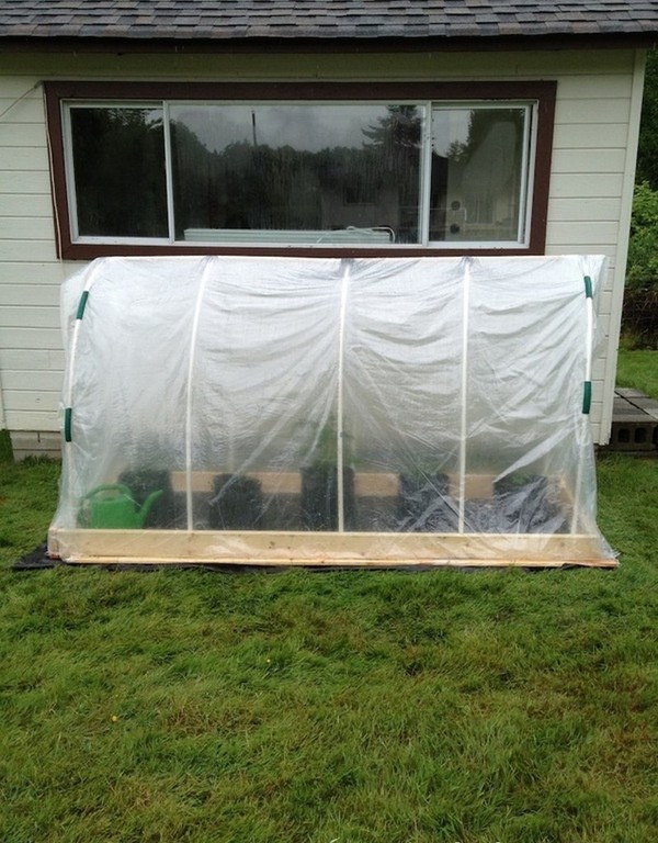 Varme kilder for planting: Steg-for-trinns guide, bilder, videoer