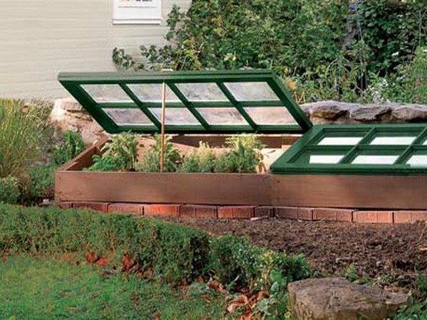Varme kilder for planting: Steg-for-trinns guide, bilder, videoer