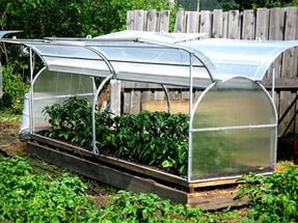 Varme kilder for planting: Steg-for-trinns guide, bilder, videoer