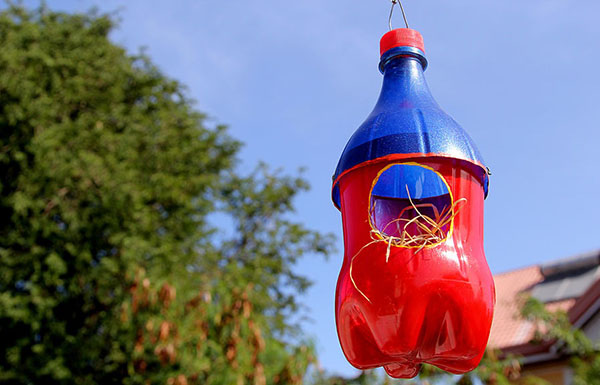 Nytt håndverk fra plastflasker med egne hender til hage og frukthage