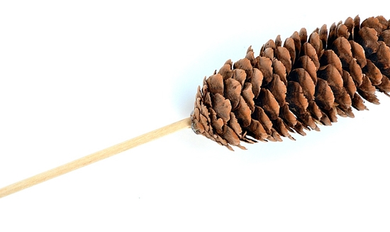 Håndverk laget av naturmateriale: Mini-tre med egne hender