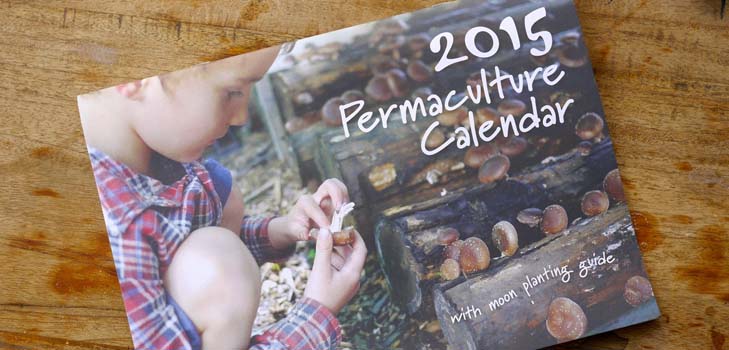 Såingskalender 2015: Vi planlegger å jobbe fra januar til desember