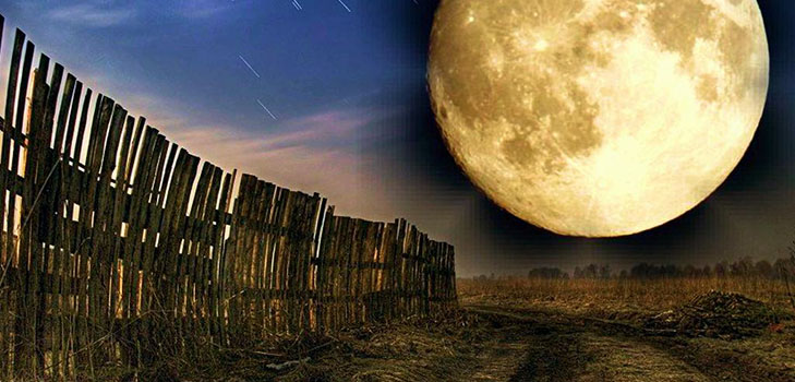 Lunar Seed Calendar for april 2017