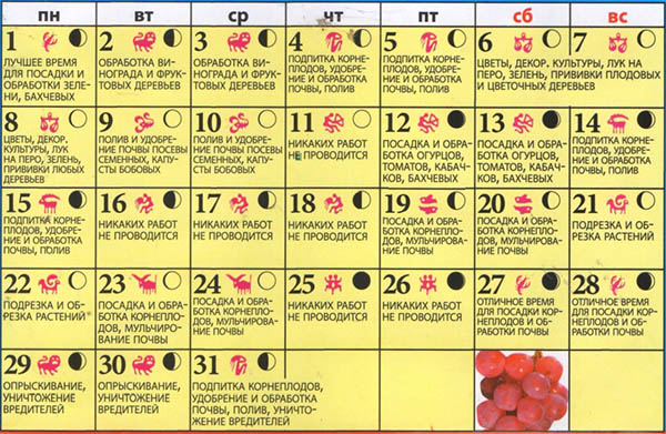 Lunar Seed Calendar for mai 2017