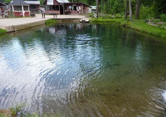 Fisk stor og liten: de beste stedene for fiske på Krim