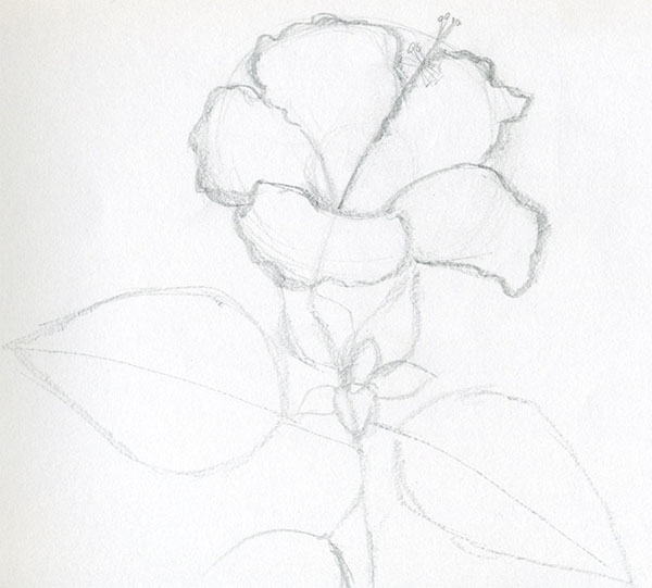 Figurblomst