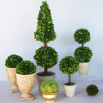 Ta vare på topiary Ta vare på topiary
